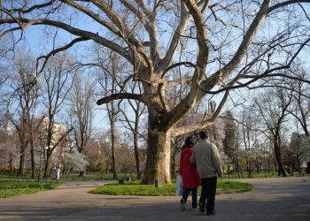 Prognoza meteo surprinzătoare: Ce temperaturi ne așteaptă?