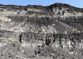 Cele mai vechi unelte din lemn descoperite vreodată: detalii uluitoare!