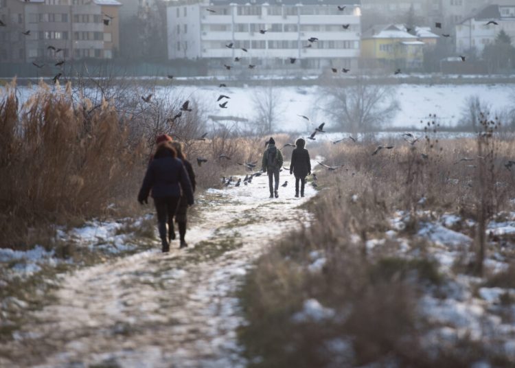 Vremea în martie: Ce ne așteaptă în următoarele patru săptămâni?