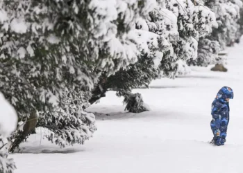 Codul portocaliu lovește: Trafic paralizat, avarii electrice și zboruri anulate!