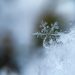 ANM: Temperaturi extrem de variate în următoarele două săptămâni!