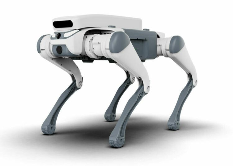 Roboții au preluat străzile: Primul oraș din România inovator!