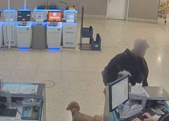 Femeie arestată pentru abandonarea câinelui la aeroport – VIDEO șocant!