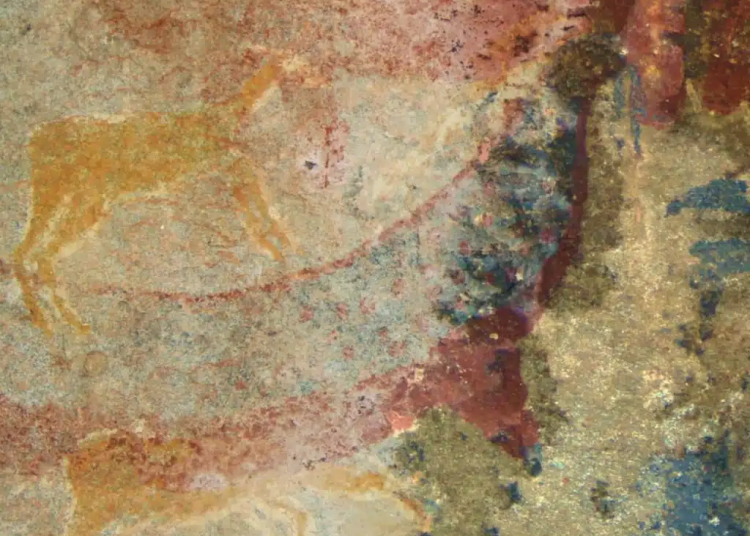 Descoperire uluitoare: Artă rupestră din Africa de Sud și o creatură dispărută!