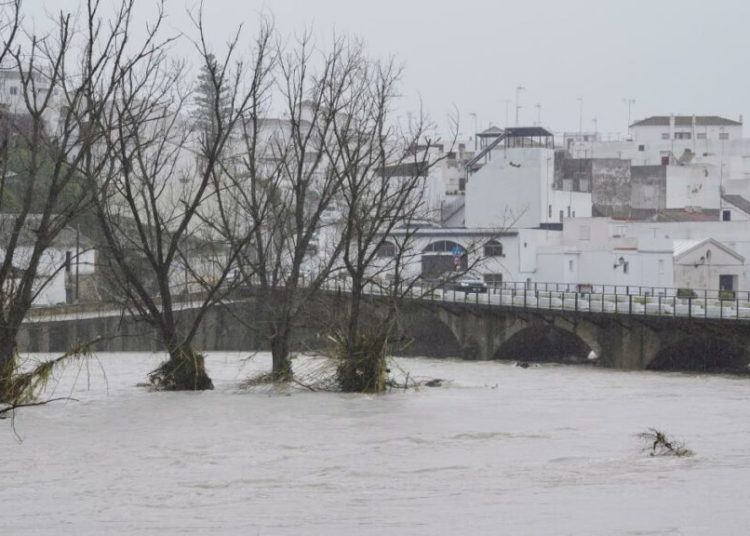 Furtuna Marta devastează: Fermierii din Spania și Portugalia anunță pagube uriașe