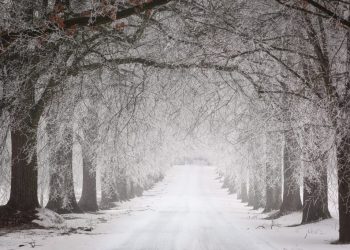 Februarie imprevizibil: Avertizări ANM despre vremea extremă!