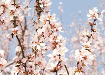 Martie aduce o răsturnare spectaculoasă a vremii: cine va simți impactul?