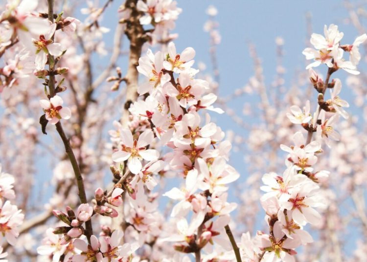 Martie aduce o răsturnare spectaculoasă a vremii: cine va simți impactul?