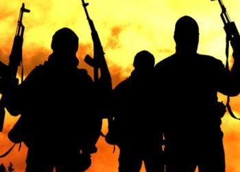 Statele Unite trimite sute de soldați în Nigeria pentru a lupta împotriva jihadismului