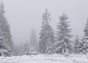 Ninsori masive în Carpați: risc crescut de avalanșă în Făgăraș și Bucegi!