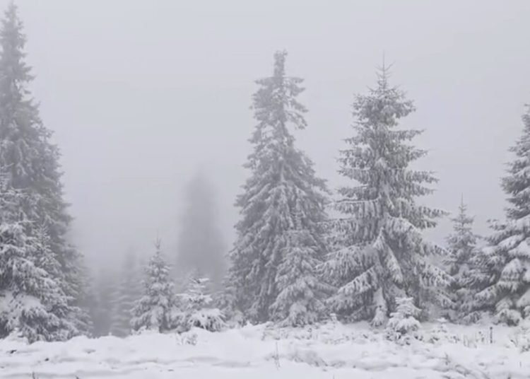 Ninsori masive în Carpați: risc de avalanșă în Făgăraș și Bucegi!