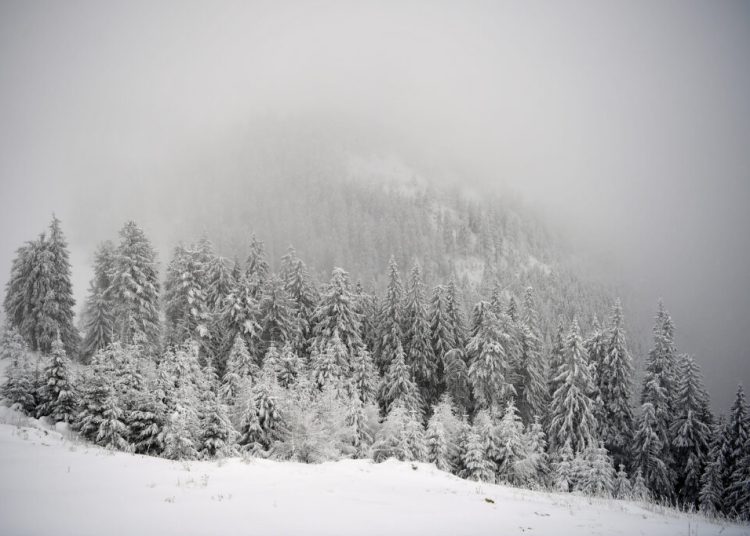 Alertă ANM: Cod portocaliu de ninsoare și vânt puternic în județe!