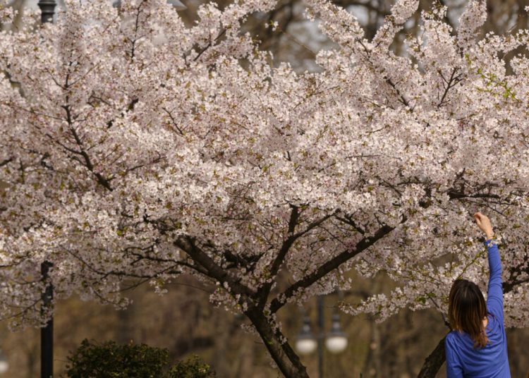 Vreme caldă în țară: ANM anunță precipitații după 15 martie!