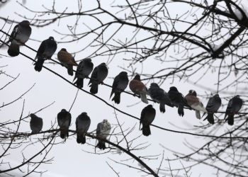 București: Ploi și vânt moderat până marți – ce ne așteaptă?