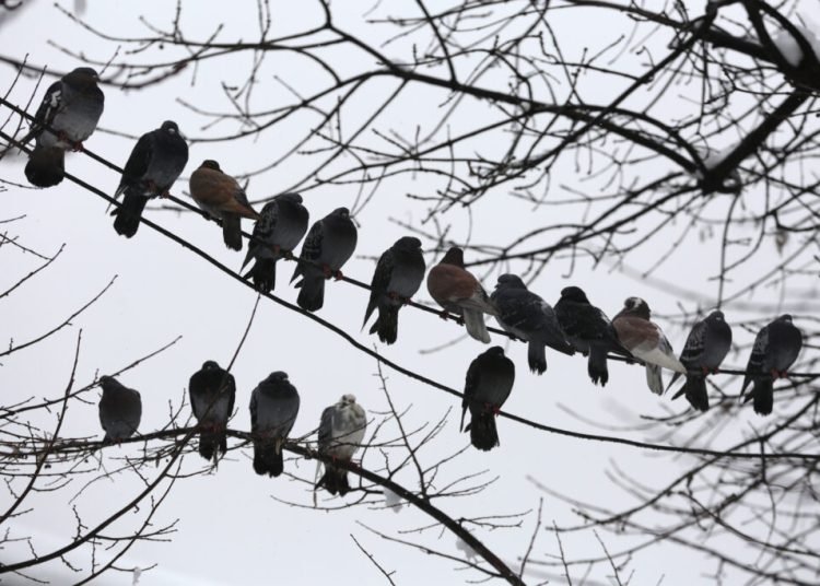 București: Ploi și vânt moderat până marți – ce ne așteaptă?