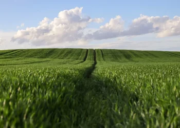 Nouă platformă europeană pentru sprijinul femeilor în agricultură!