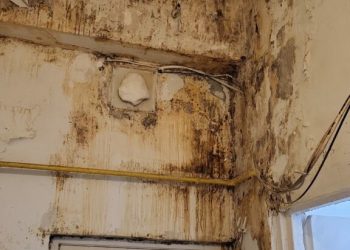 Bucătării de coșmar: mucegai și insecte descoperite de ANPC!