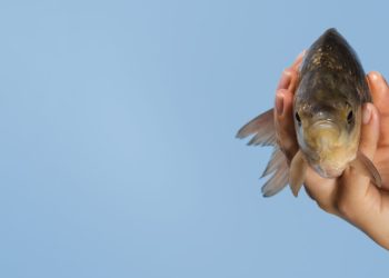 O zi poate prezice durata vieții tale: Descoperirea cercetătorilor de la Stanford