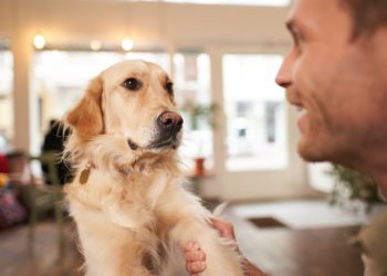 Oamenii și câinii: o legătură de peste 15.000 de ani!