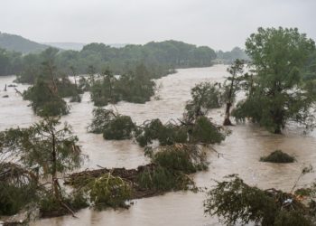 Google dezvăluie AI-ul care prezice viiturile cu o precizie uimitoare!