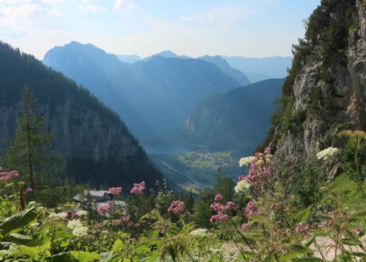 Oraș european plătește 27.665 de euro pentru relocare, dar are un secret!