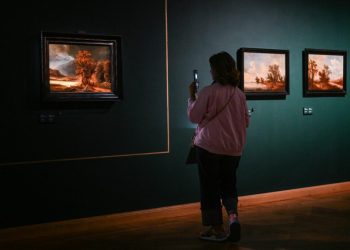 Muzeele din Lyon, atacate cibernetic: Biletele online blocate timp de o săptămână!