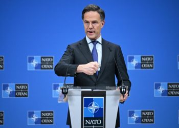 Rutte îi răspunde lui Trump: Aliații vor susține interesele comune!