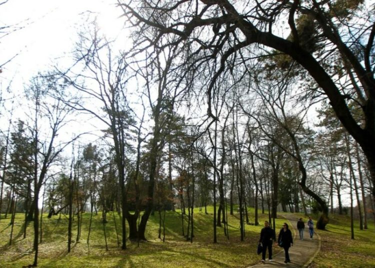 Vremea de 8 Martie: Ce surprize ne aduce în București și pe țară?