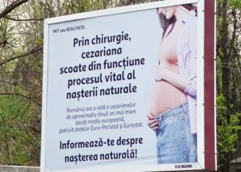 „Senatoarea Păun solicită acțiune urgentă după panouri controversate în 2026!”