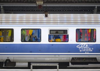 Linie blocată: Copac căzut oprește trenurile Brașov – Sighișoara!