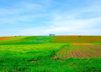 Fermierii din UE cer ajutor urgent: criza agricolă devine alarmantă!