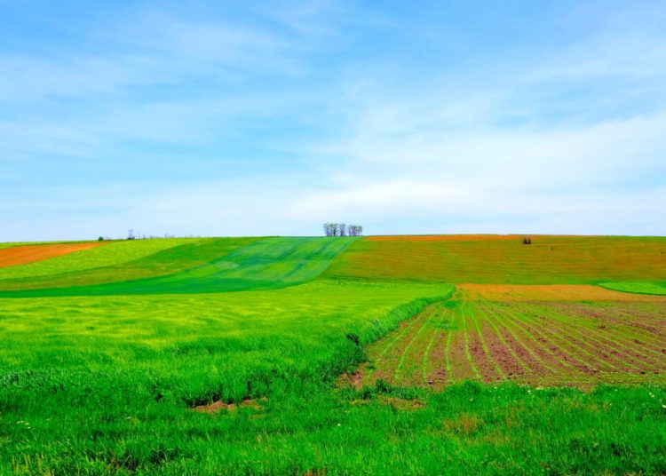 Fermierii din UE cer ajutor urgent: criza agricolă devine alarmantă!