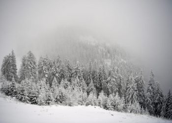 Atenție! Cod portocaliu de ninsoare și vânt puternic în județe montane