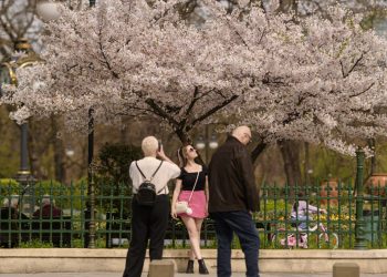Mai aduce primăvara reală: Vezi prognoza meteo surprinzătoare!