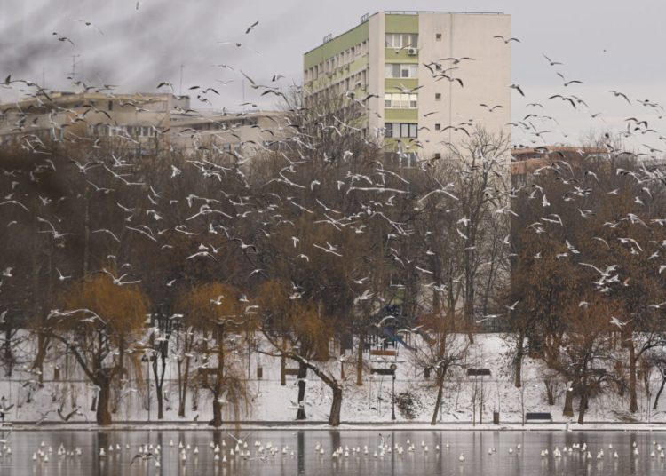 Alertă ANM: Vânt puternic și ploi torențiale în toată țara!