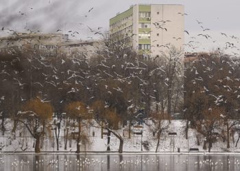 Atenție! Vânt puternic și ploi torențiale în jumătate din țară!