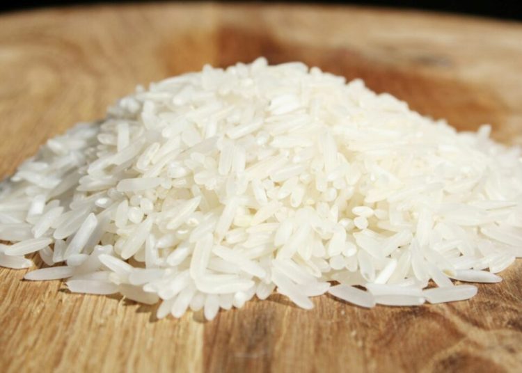 Eșecul protejării orezului în Parlamentul European: Descoperă motivele!