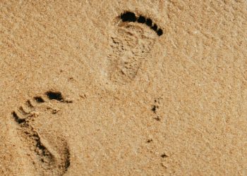 Litoral 2026: Descoperă transformările uimitoare ale stațiunii 2 Mai!