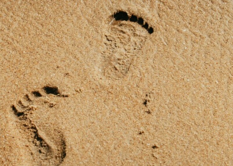 Litoral 2026: Descoperă transformările uimitoare ale stațiunii 2 Mai!