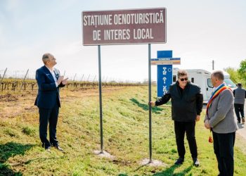 Descoperă prima stațiune oenoturistică din România: investiții uriașe!