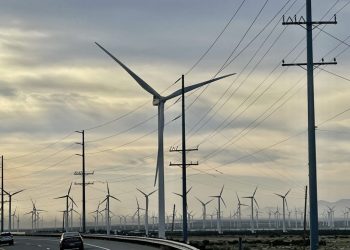 Trump oprește proiecte de energie eoliană pe motive de securitate națională