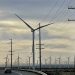 Trump oprește proiecte de energie eoliană pe motive de securitate națională