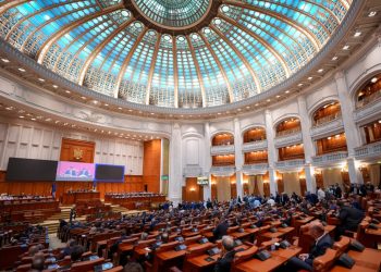 Răspunsul parlamentarilor PACE la Oana Gheorghiu: „Votăm la vedere!”