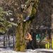 București: Frig, ploi ușoare și vânt puternic până vineri!