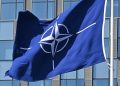 Declinul natalității în NATO: Impactul asupra securității