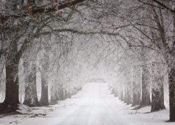 Previziuni Meteo Februarie 2026: Ce Ne Așteaptă?