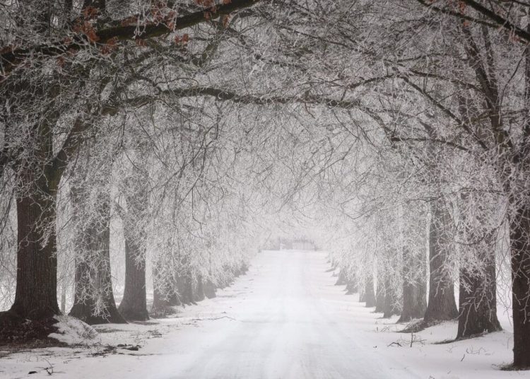 Previziuni Meteo Februarie 2026: Ce Ne Așteaptă?