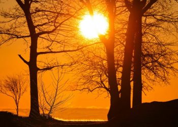 Prognoza Meteo 2-9 Martie 2023: Temperaturile și Precipitațiile