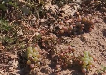 Suspensia sistemului antigrindină în Prahova: Ce urmează?